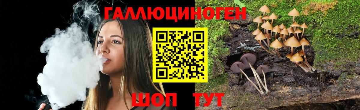 Петропавловск-Камчатский  Псилоцибиновые грибы мухоморы  Вход с VPN 