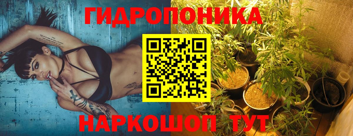 Бошки Шишки план Петропавловск-Камчатский